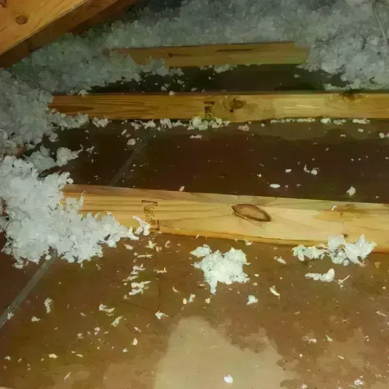 Attic Water Damage in Alvord, TX