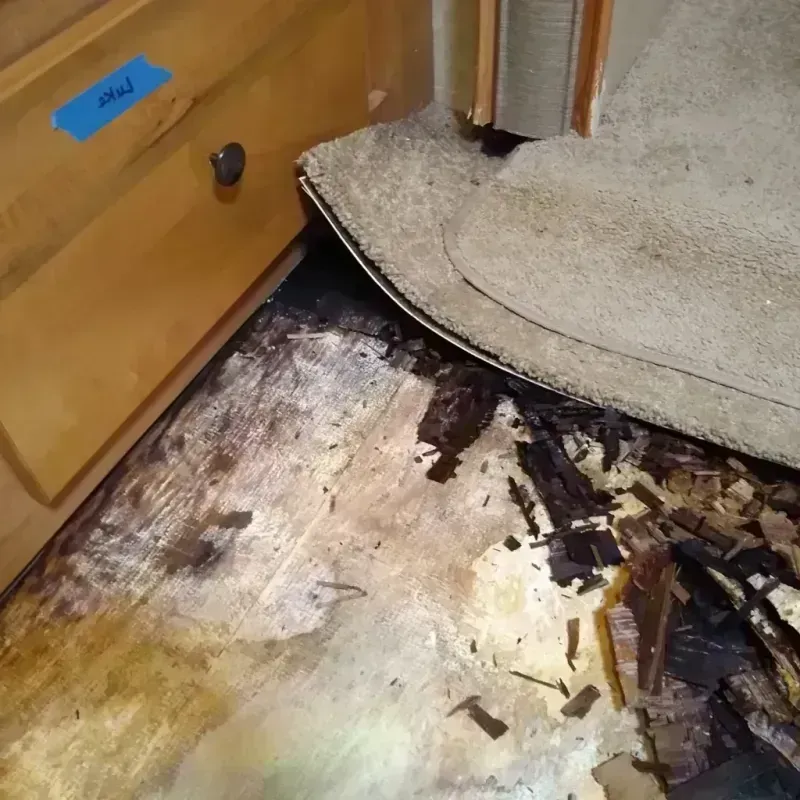 Wood Floor Water Damage in Alvord, TX